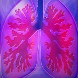 Pulmonal arteriel hypertension